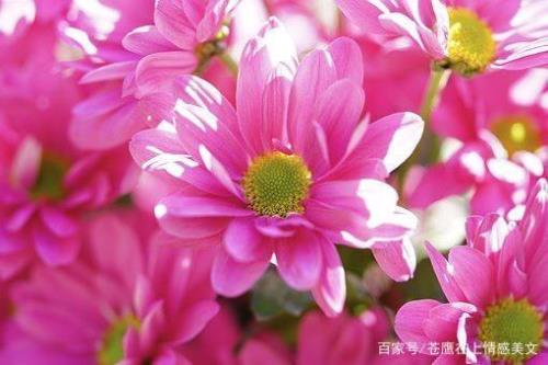 忘记一个亲人需要多久