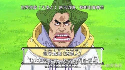 海贼王中天龙人指哪些人