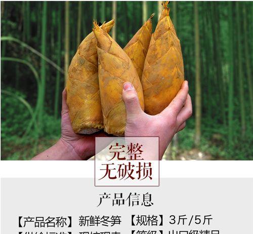 毛笋春笋冬笋区别