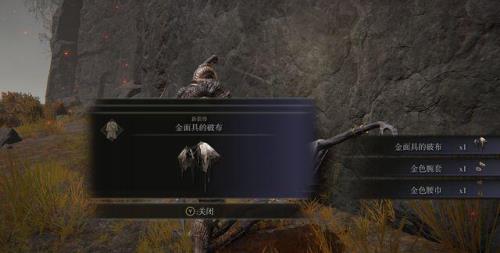 艾尔登法环为什么道具用不了