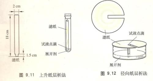 纸点燃后飞起来原理