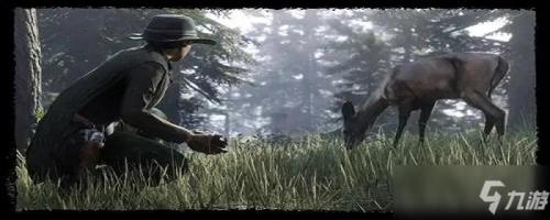 传说熊皮丢了会消失吗