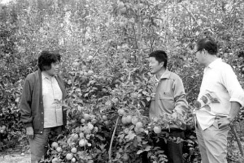 杨怀玉是谁