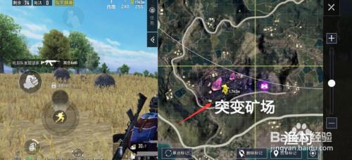 突变矿场什么时候回归