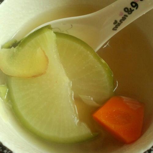 可以用姜和萝卜煮汤吗