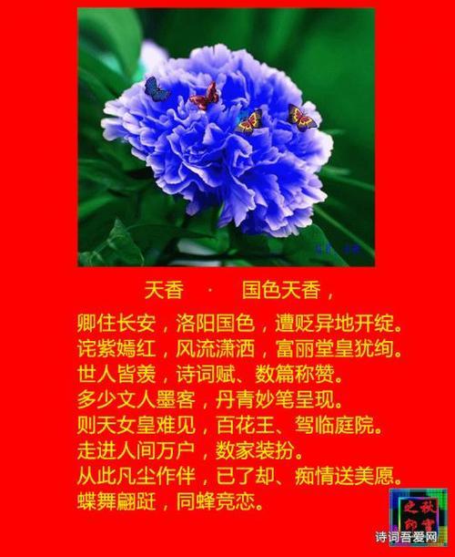 万紫千红繁体怎么写