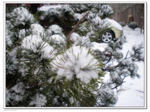 下雪能杀菌吗