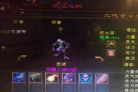天龙八部副本宝宝选什么性格