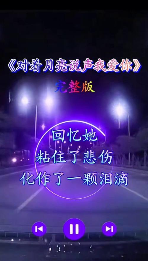 说什么我爱你原唱完整版