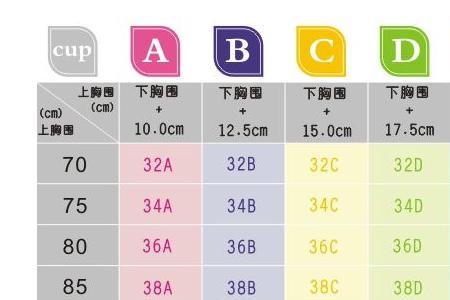 75胸围衣服是多少厘米
