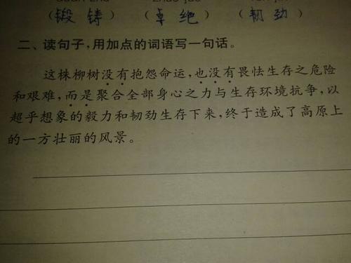 展字造句