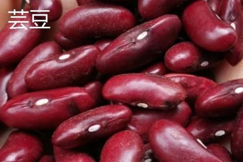 芸豆上面有锈色是怎么回事