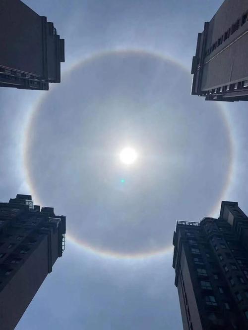 太阳和彩虹阅读理解答案