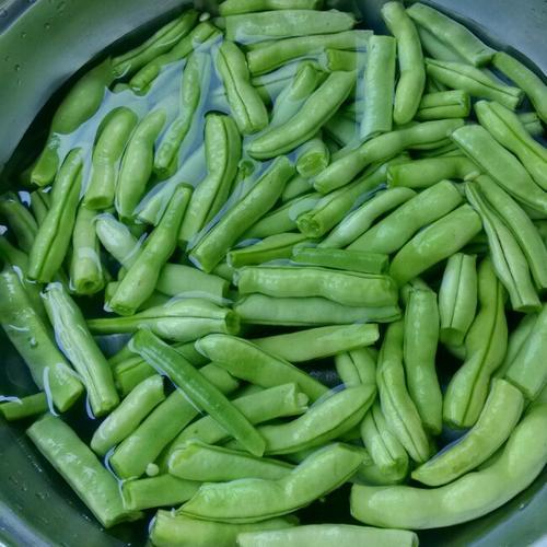 素瓜豆冷水下锅还是热水