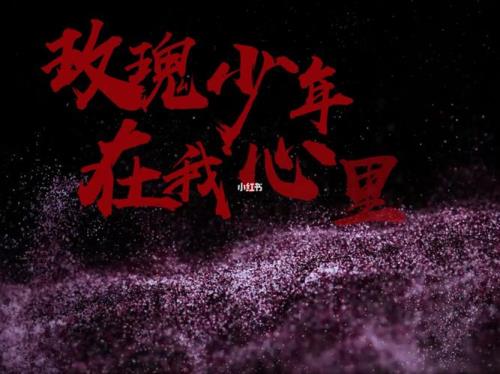 玫瑰少年什么意思，五月天