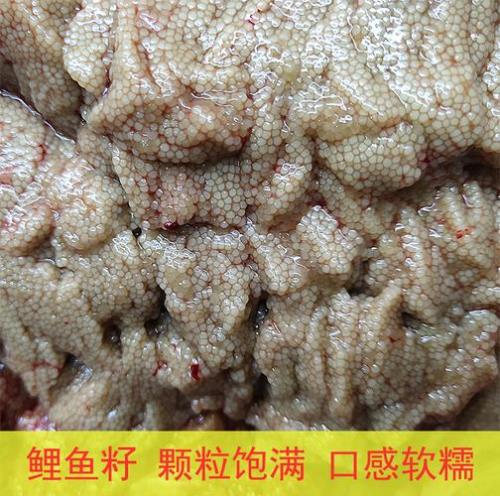 鲤鱼蛋能放冰箱吗