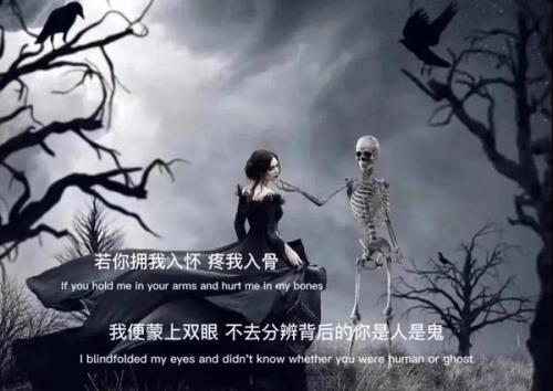 人是人鬼是鬼经典语录