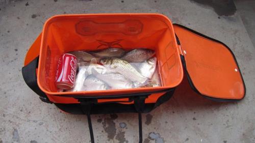 牧羊河可以钓鱼吗