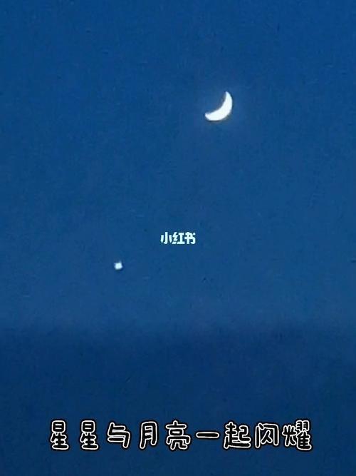 星星闪耀的心情是什么意思