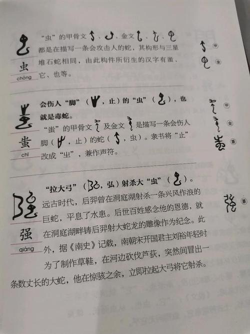 虫加蜀念什么，是什么字