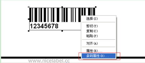 nice软件水印怎么设置