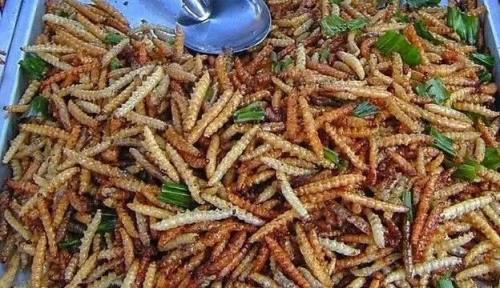 竹虫怎么吃