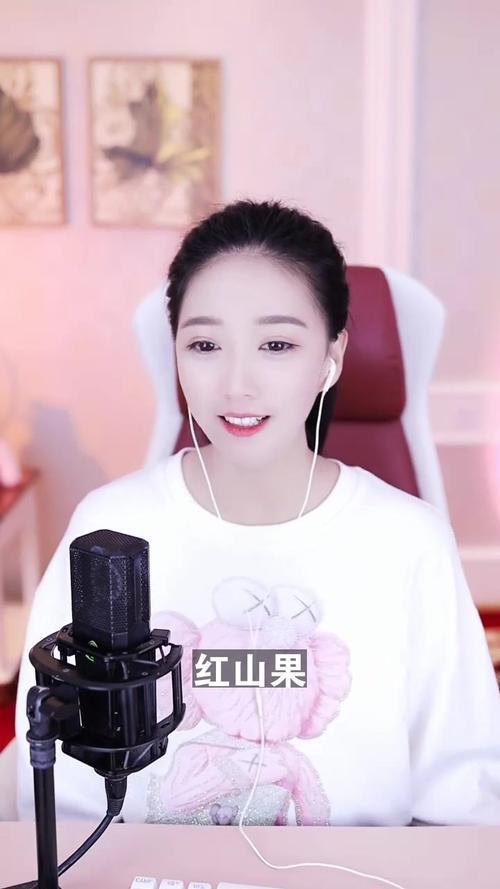 红花果歌词含义