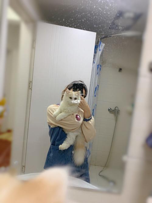 猫为什么喜欢把地漏掏出来