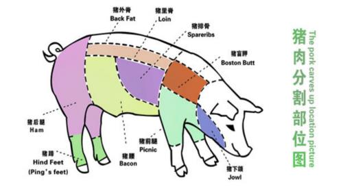 猪扎扎是猪哪个部位