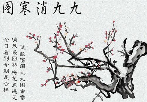 今冬什么时间开始数九
