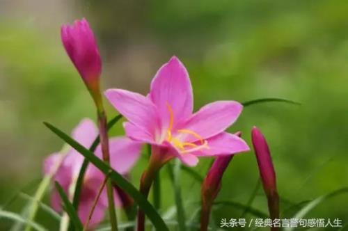 众叛亲离有憾人生怎么安慰