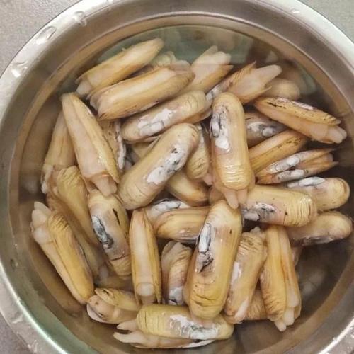 为什么撒盐蛏子就吐水