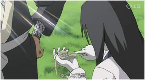 大蛇丸是怎么获得柱间细胞的