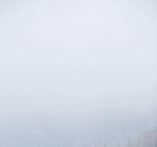 归故里拂身乱雪衣完整歌词
