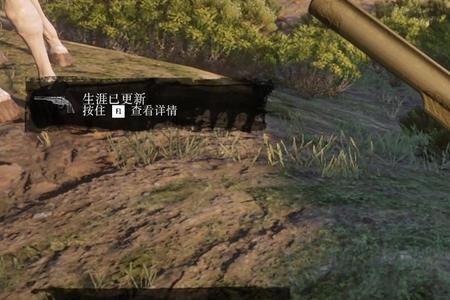 荒野大镖客不要的枪怎么丢掉