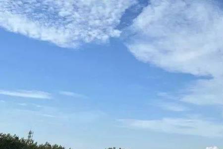 监利有没有种粮补贴