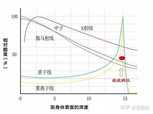 质子是什么身份什么意思