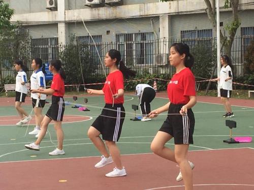 画画 跳绳   排球    看书不同类的是