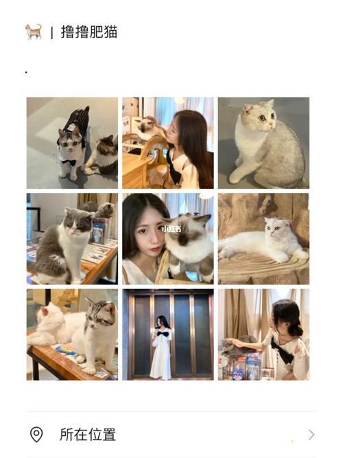 撸猫文案句子朋友圈