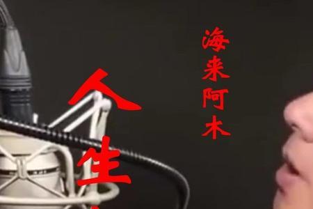 海来阿木最火的十首歌是什么歌