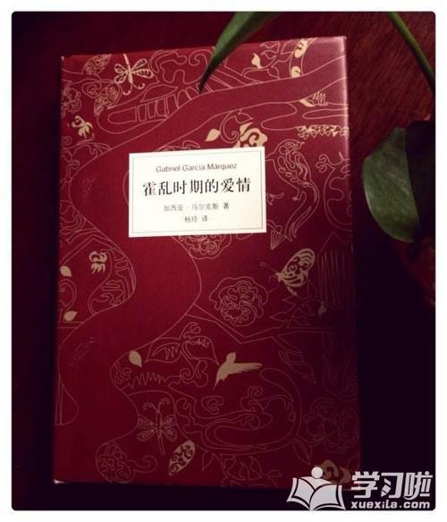 霍乱时期的爱情的主要内容