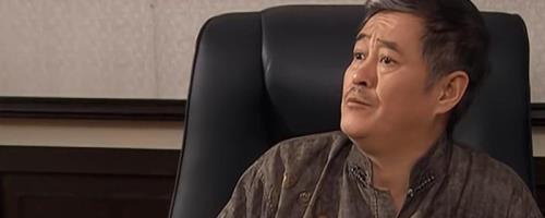 许小强的乡村故事内容