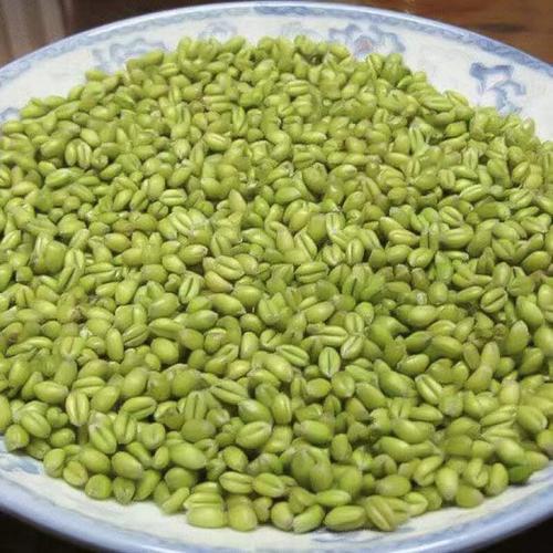 青麦粒保存方法