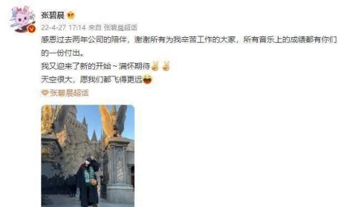 花开半夏赵磊离职后去哪里了
