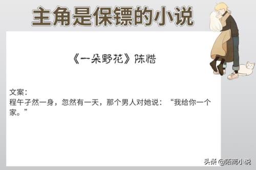 主角是正义的悍匪，小说