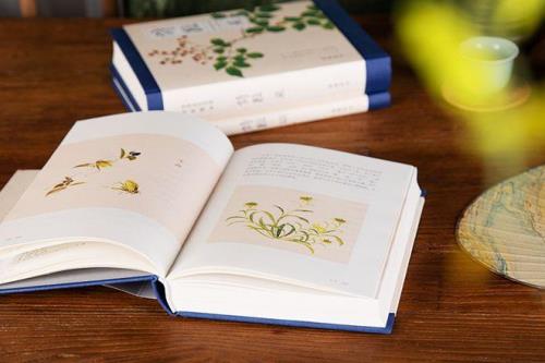 白露被黄维山占有了吗