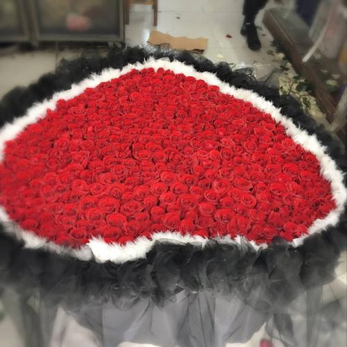 520朵玫瑰花大概多大