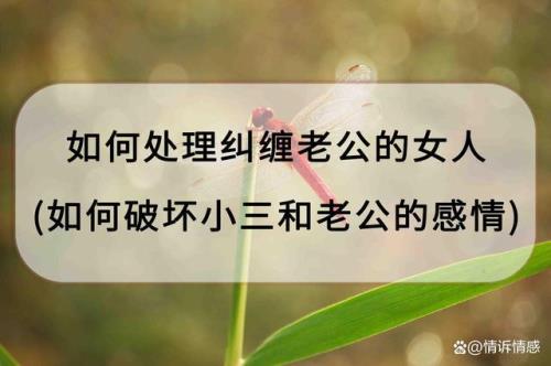 起诉第三者破坏家庭的最佳方法