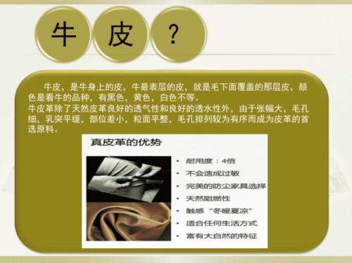 为什么牛背上的皮最硬