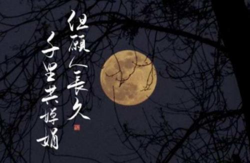天涯共此时的上一句是什么